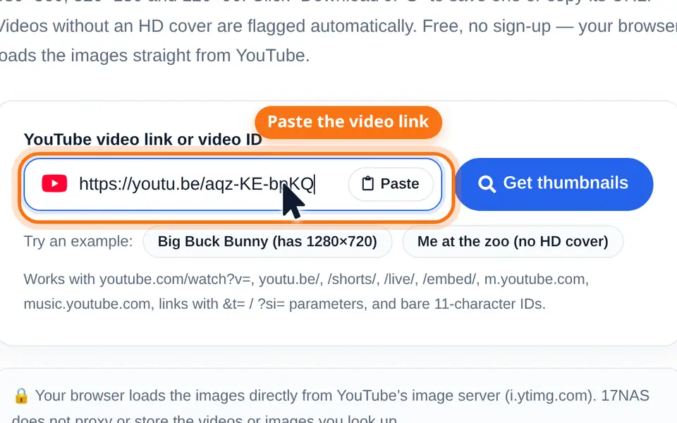 Pasting a YouTube video link into the input box