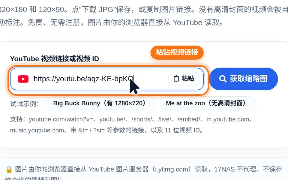 在输入框粘贴 YouTube 视频链接